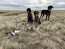 hunting-success-three-gwp